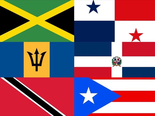 Un Chin De History: How Caribbeans spiced up life in the Bronx! 🌶🎉